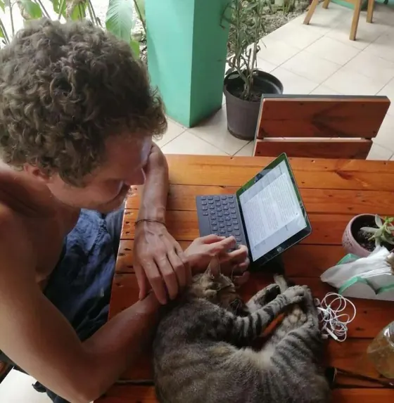 Working on an iPad at a wooden table, a cat asleep next to it